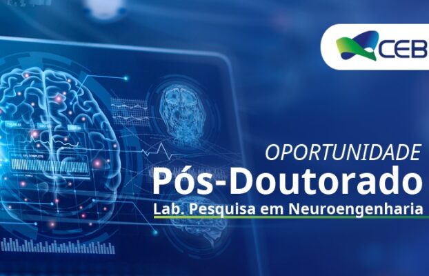 Oportunidade de Pós-Doutorado no Laboratório de Pesquisa em Neuroengenharia